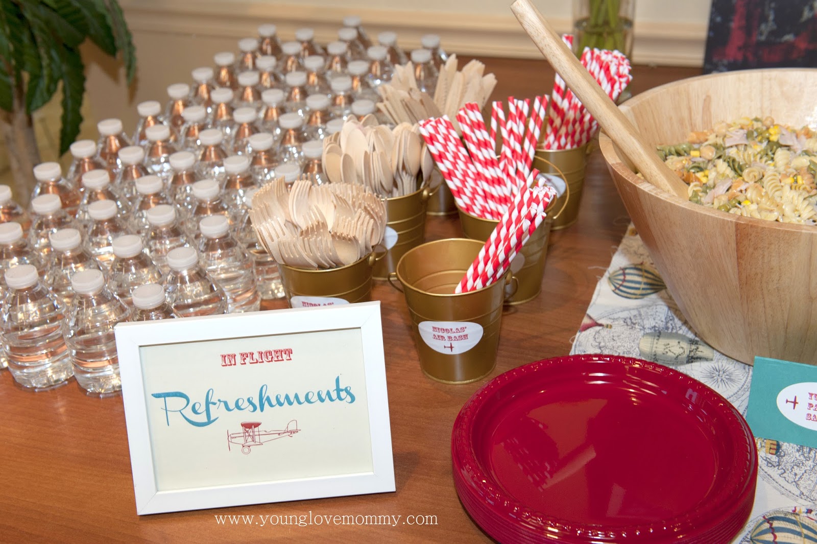 Vintage Airplane Party