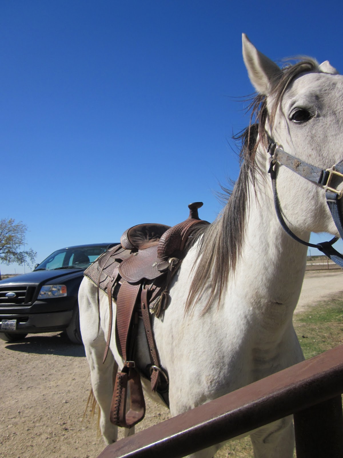 Lone Star Parson Ariat? Wolverine? Boot Review.