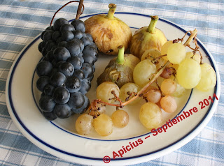  825º Menú, Crema de calabaza con tostas de ali oli, albondigas y otras cosas, ensalafa y fruta. 