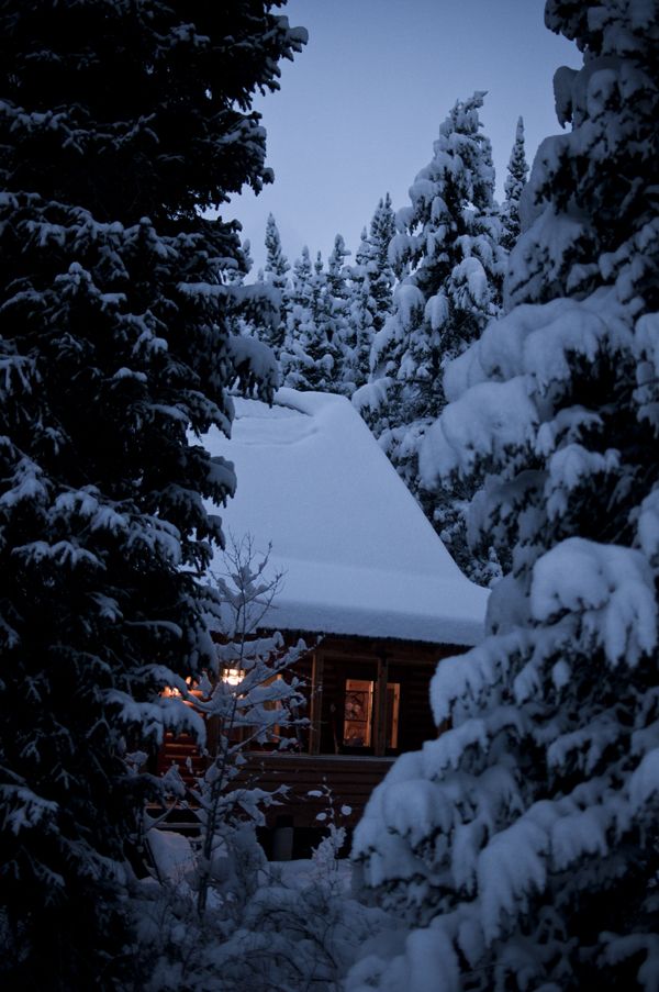 Songs Of Eretz Poetry Review December 2012