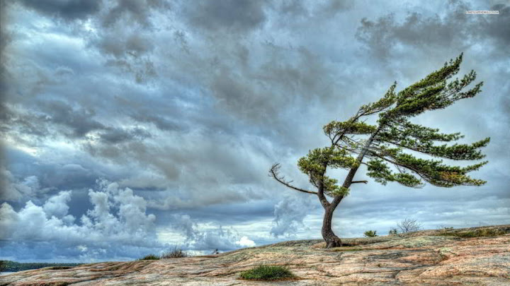 Soñar con viento Soñar con viento