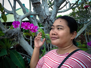 Woman looking at Purple Orchid Flowers of The Garden Plant North Bali Indonesia