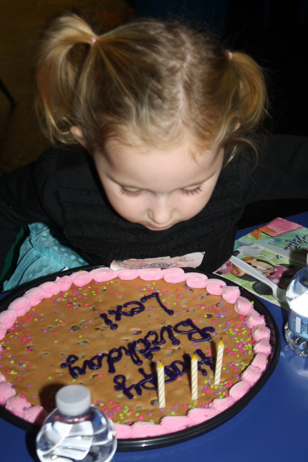 The Hardy Party: Happy 3rd Birthday Lexi Grace!