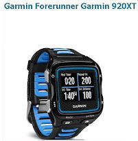 Il mio garmin connect