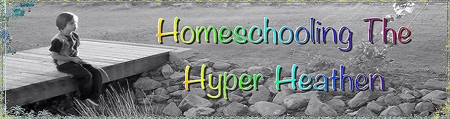 Homeschooling The Hyper Heathen