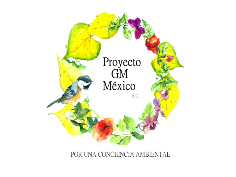 Proyecto GM México