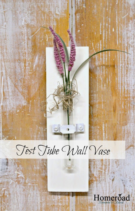 Homeroad Test Tube Wall Vase