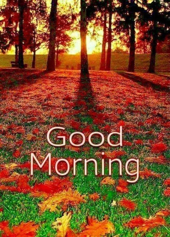 good morning love gif for whatsapp