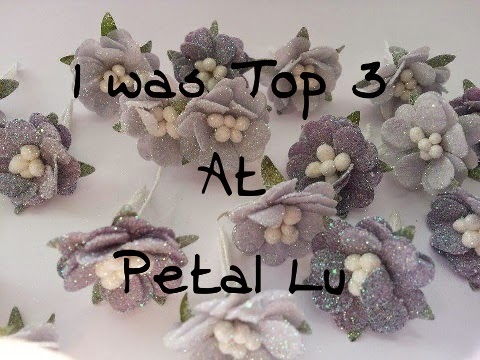 Petal Lu Top 3