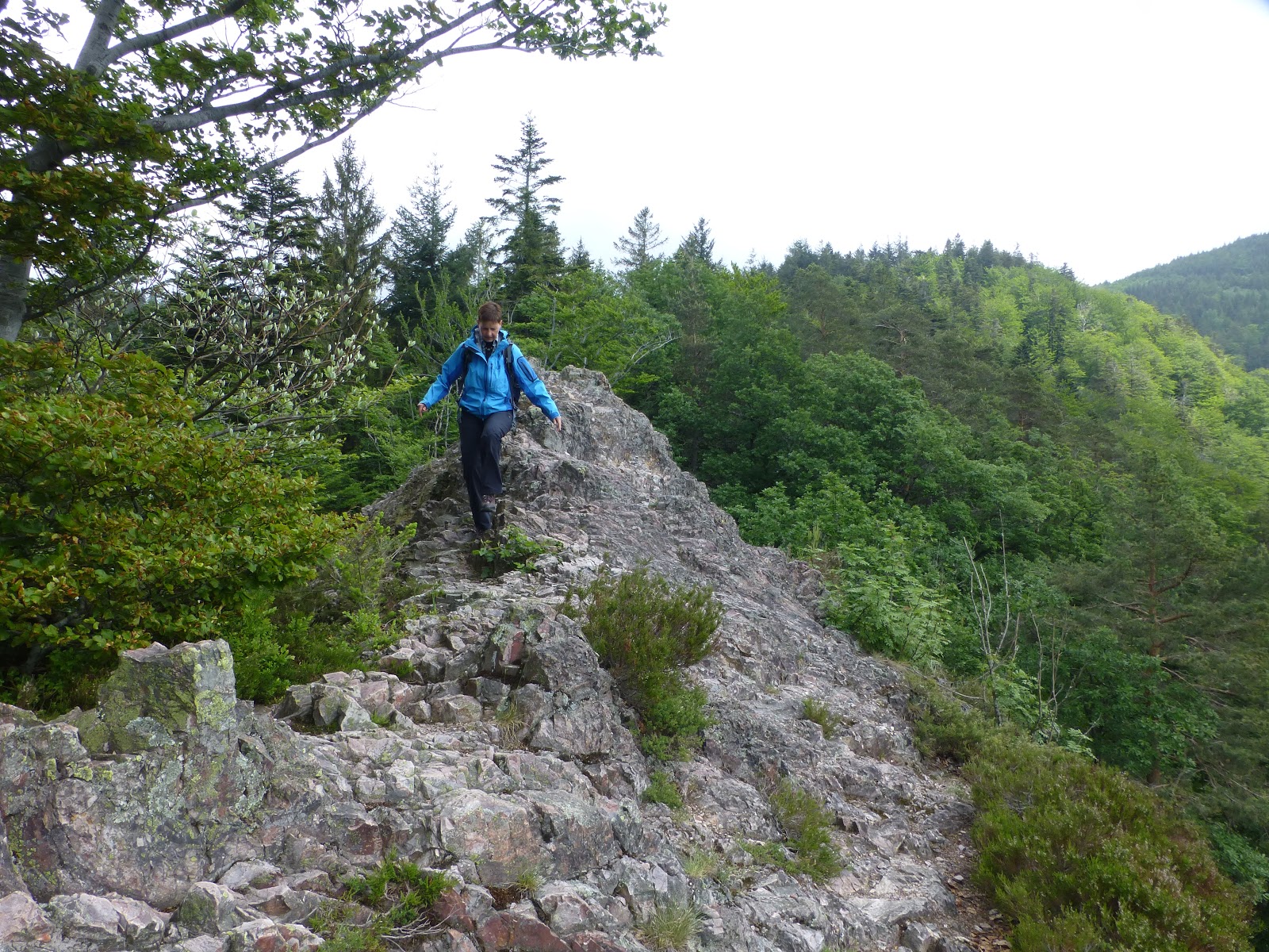 Monis Und Franks Radlblog Vaude Trans Schwarzwald 2013