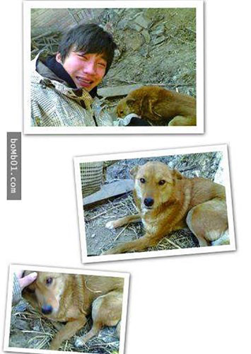 Trai tim tan chay voi anh xuc dong ve 