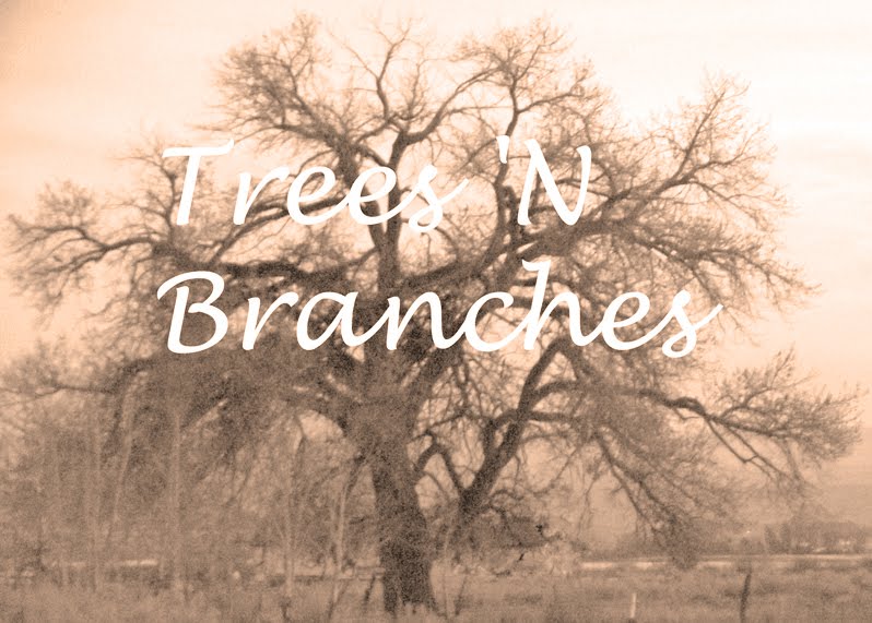Trees 'N Branches