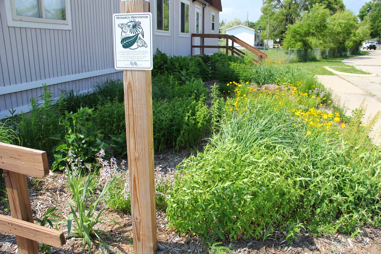 Isabella Conservation District Environmental Education Program Native