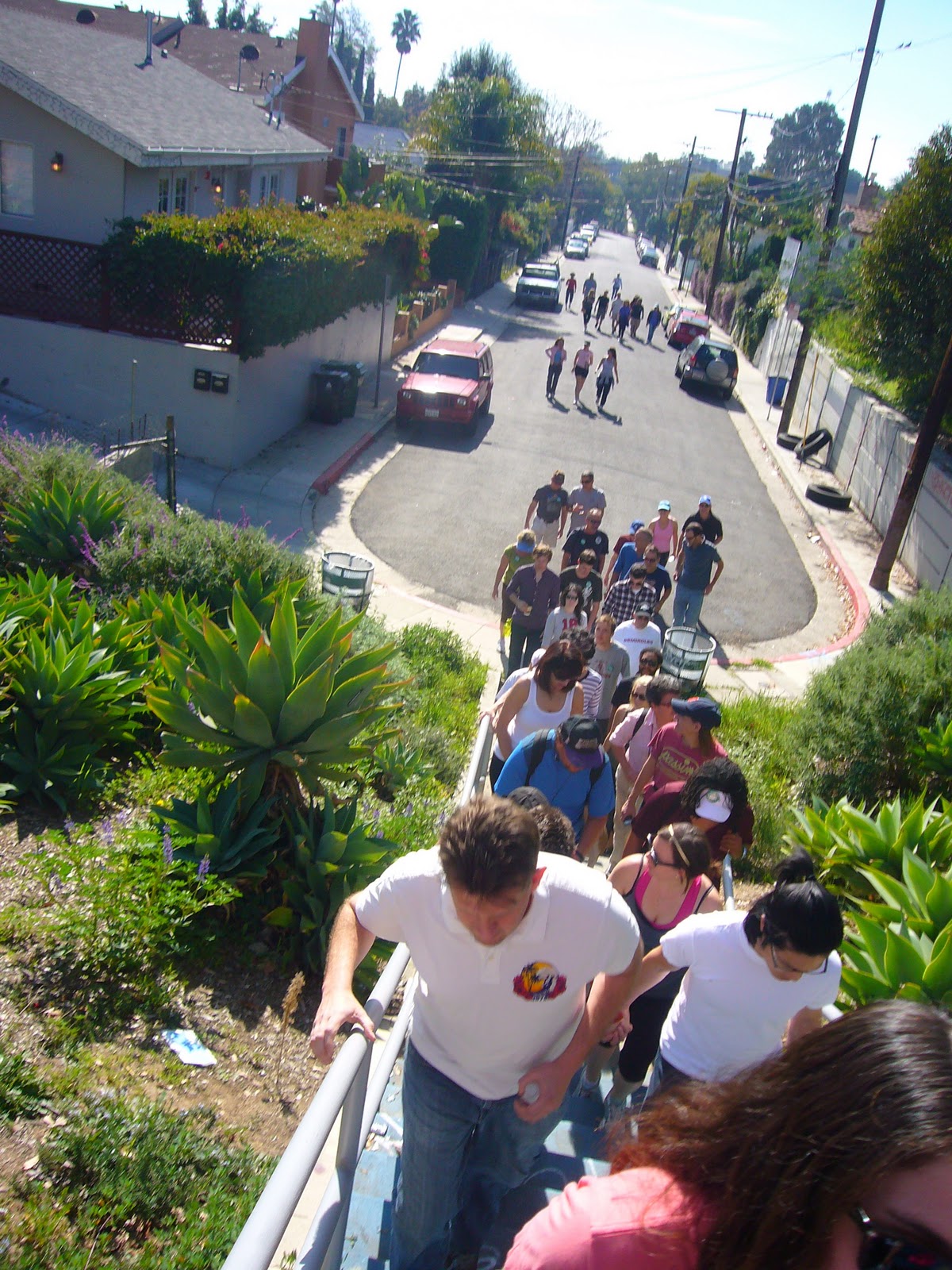 Art Rat Walking With Mr Fleming art-rat-walking-with-mr-fleming