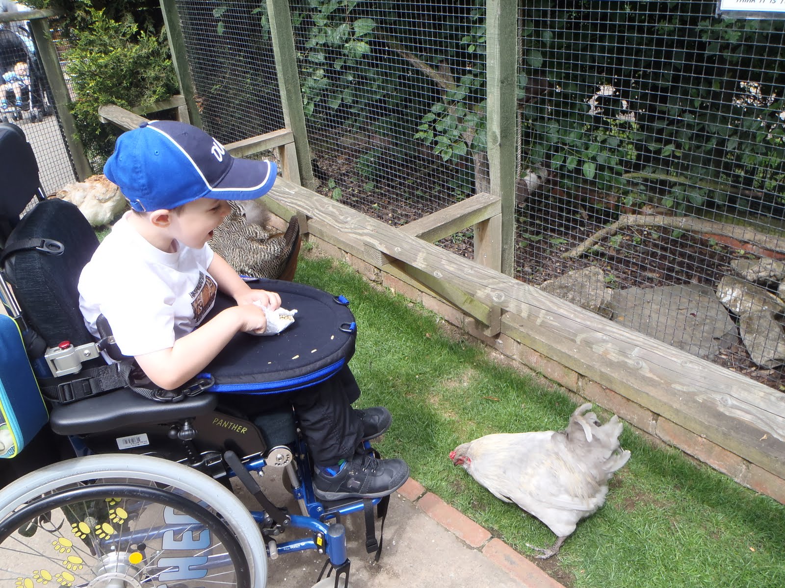 Accessible? Tropical Butterfly House (Sheffield)