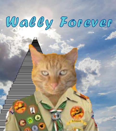 RIP Wally