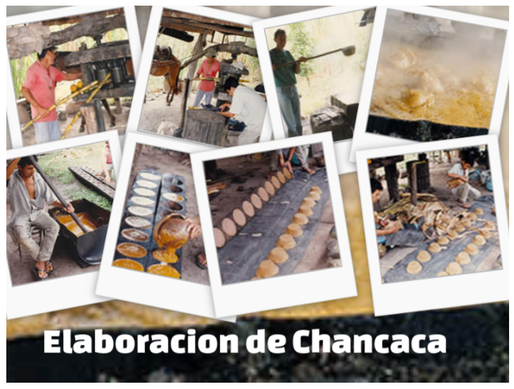 Tengo Hambre... Chancaca Elaboración de un dulce o azúcar natural