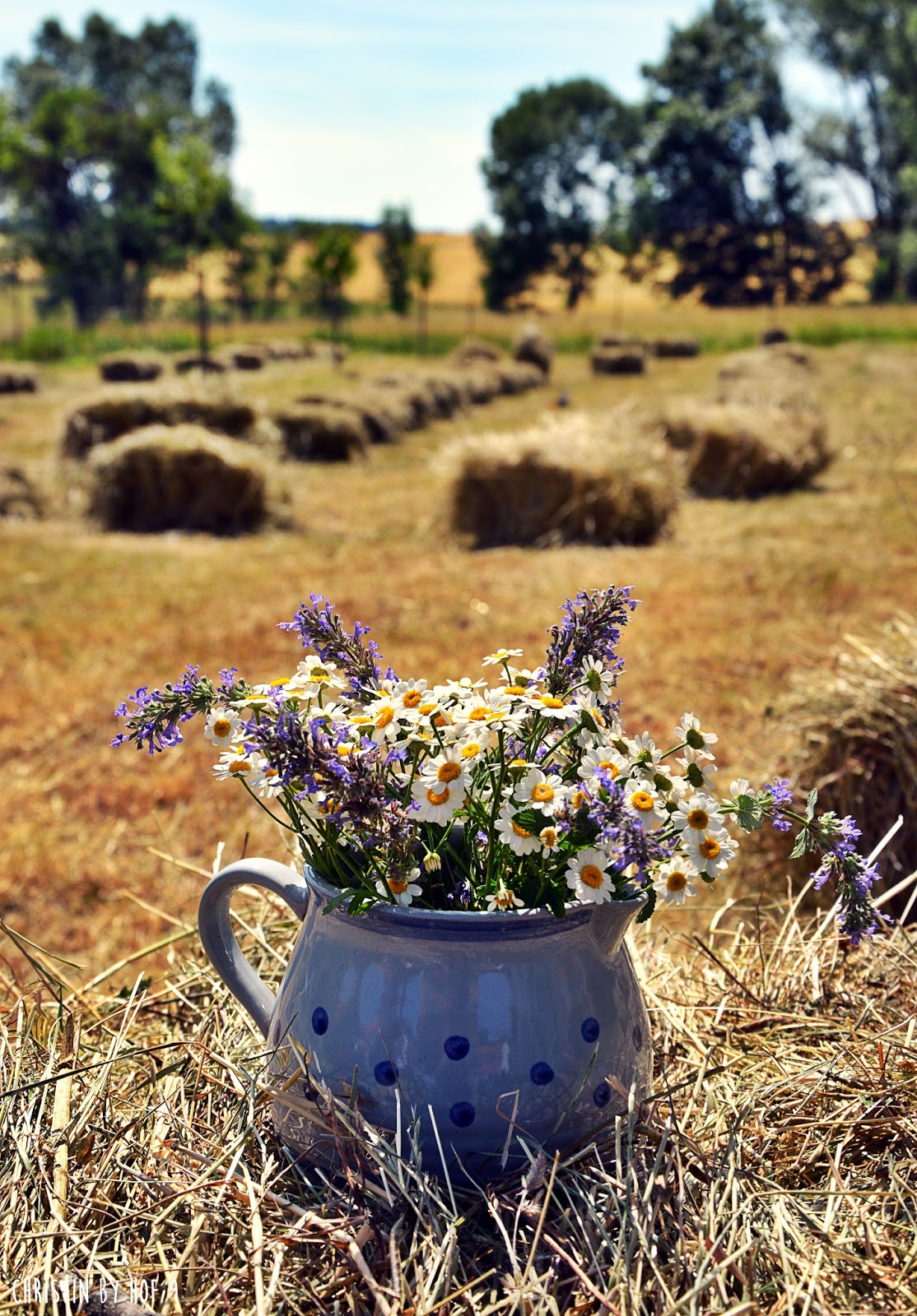 Hof 9 Heuernte Auf Hof 9 Und Der Kranz Im Juni