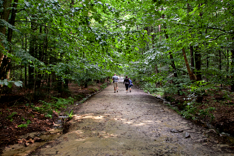 Święta Katarzyna, Łysica, kapliczka św. Franciszka, żródełko, świętokrzyskie, Świętokrzyski Park Narodowy