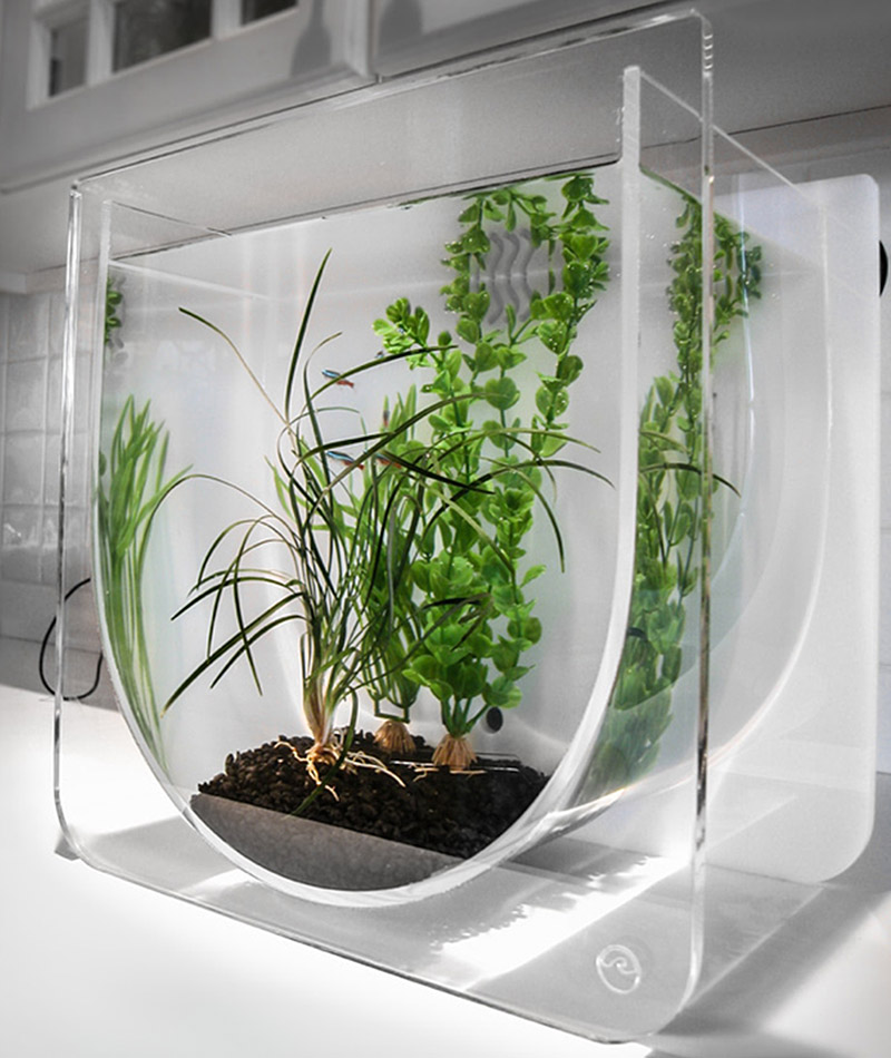 Minimalist Modern Small Fish Tank for Living room