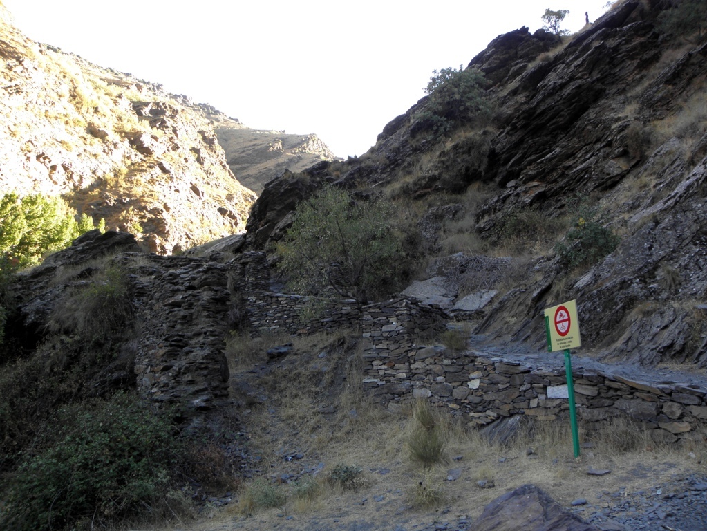 MINI NATURALEZA VEREDA DE LA ESTRELLA