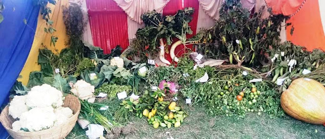 51765233_1162618363907334_8251092587520196608_n