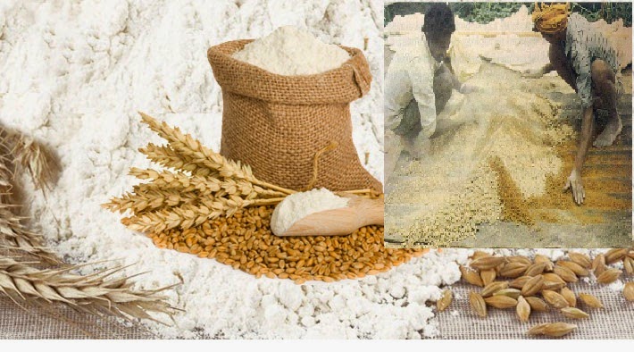 Food adulteration in flour