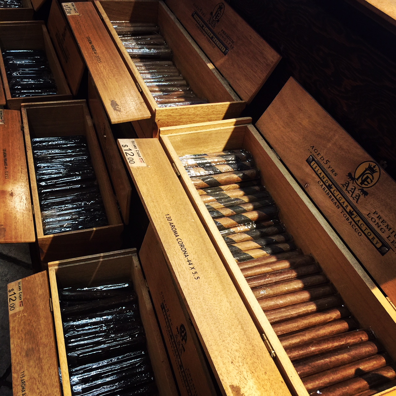 Little Cigar Shop in Key West a day in the life of a mom