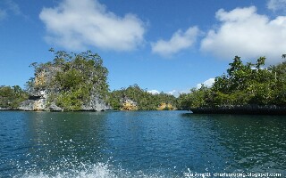 Wisata Bahari di Raja Ampat Keliling Pulau-pulau Karst di Teluk Kabui