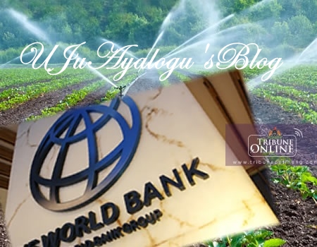 World Bank invests $495 million to boost irrigation in Nigeria 
