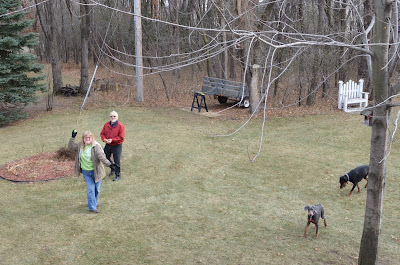 Playing outside with the dogs Photo by Trisha Field