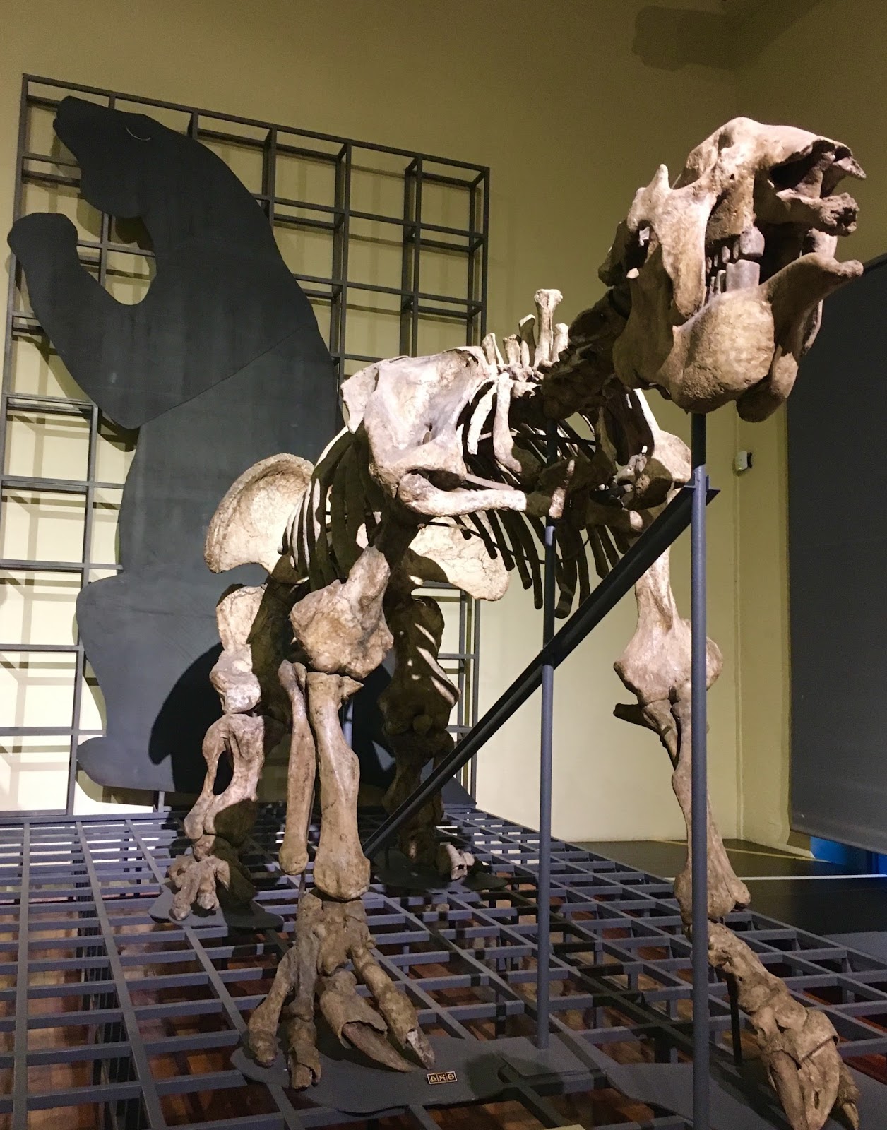 FOSSIL HUNTRESS MEGATHERIUM AMERICANUM