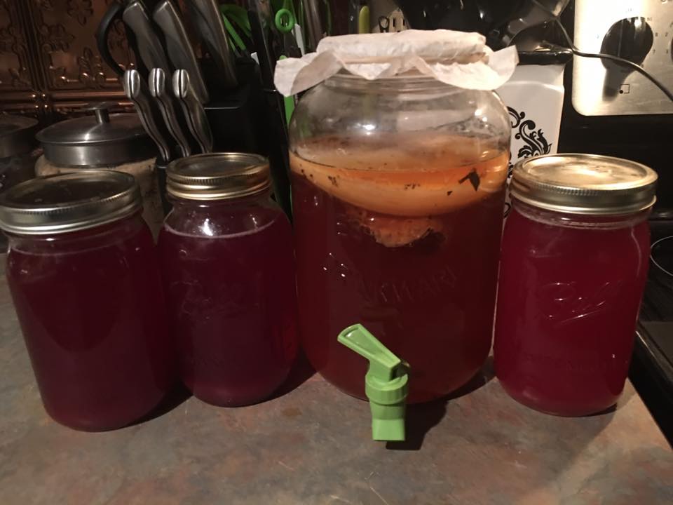 Recipe Representative Blueberry Ginger Kombucha