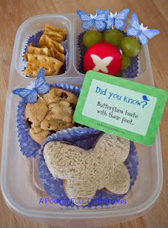 Laine Design: Kids Lunch Box Ideas for School