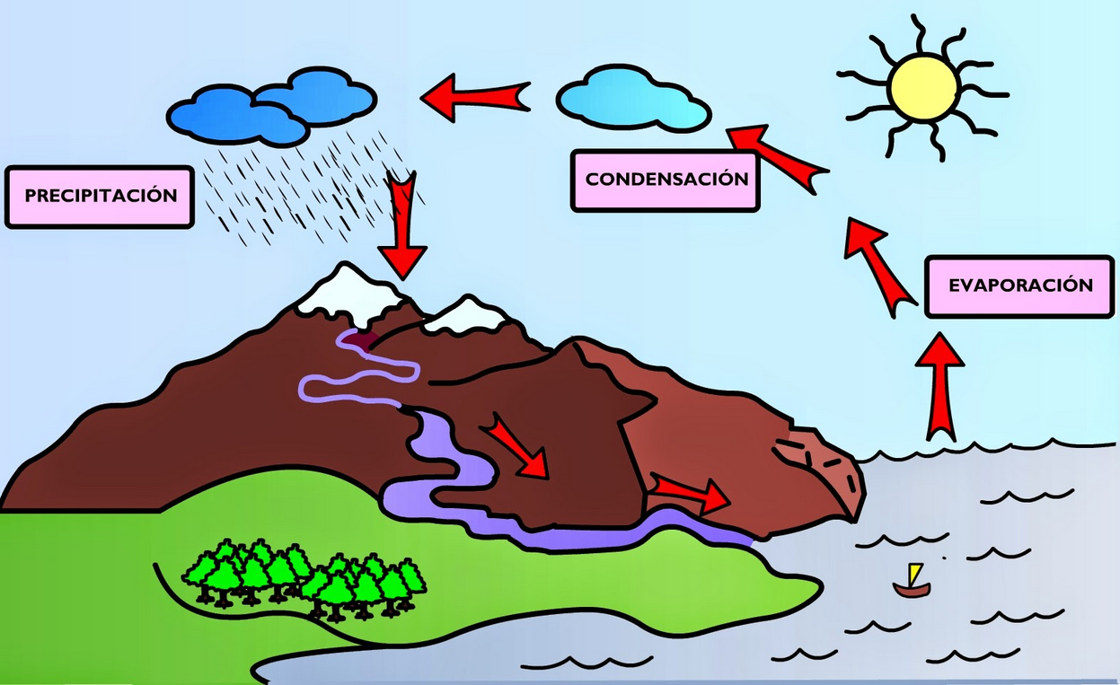 Las TIC en Primaria LA HIDROSFERA (X) Las TIC en Primaria LA HIDROSFERA (X)
