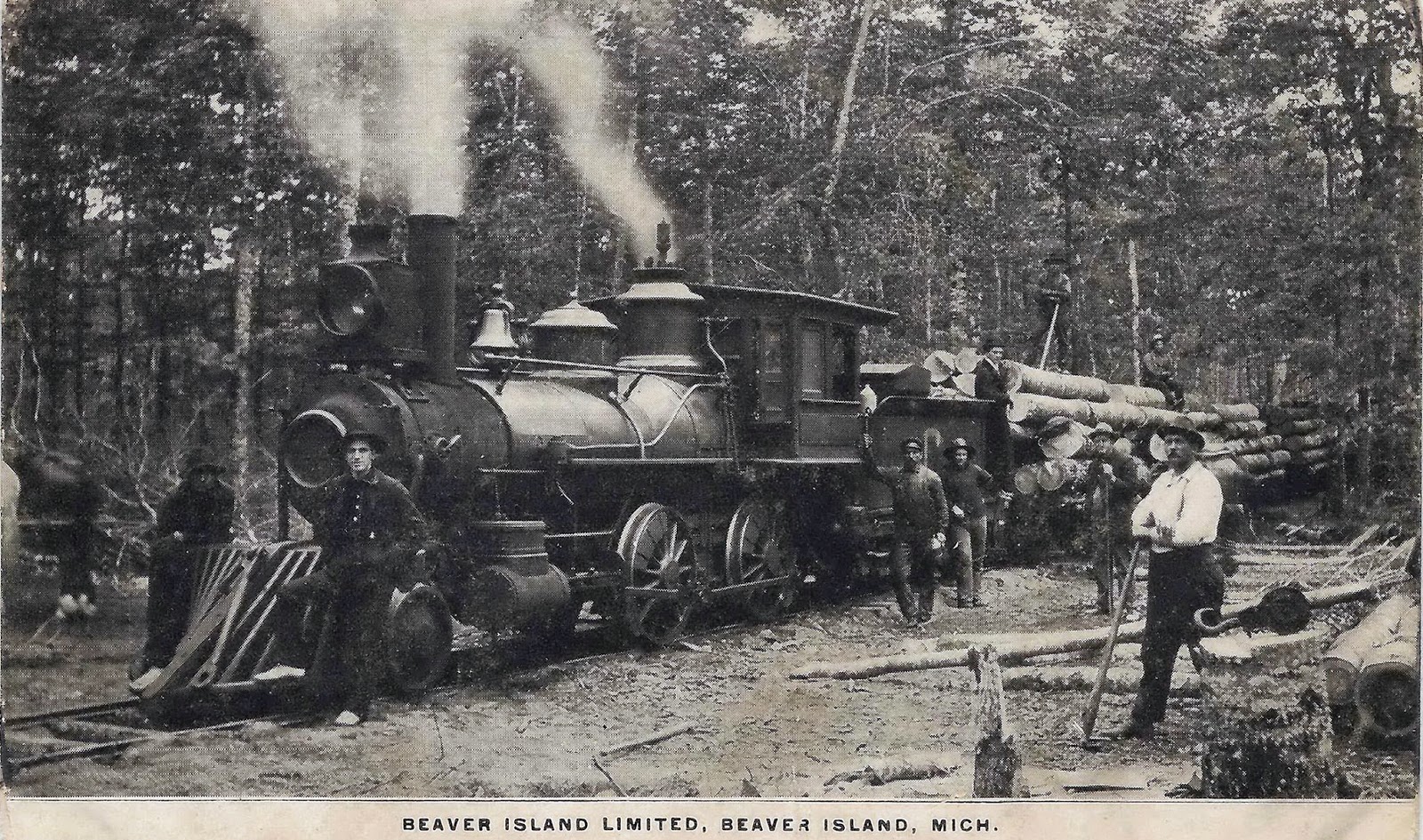 Steam logging in фото 30