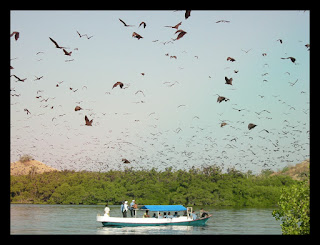 Pulau Ontologi Taman Wisata alam 17 Pulau Riung Pulau Ontologi Taman Wisata alam 17 Pulau Riung