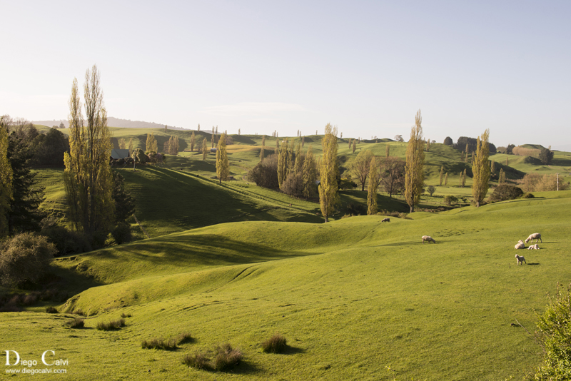 Taupo y las colinas verdes de los Hobbit - Nueva Zelanda en Campervan - Vuelta al mundo (3)