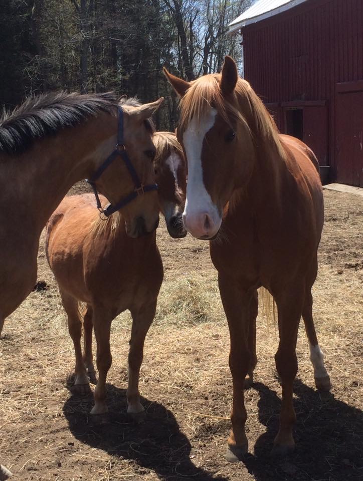 Ballston Neighbors United OPINIONS IN TOWN Proposed Zoning Changes