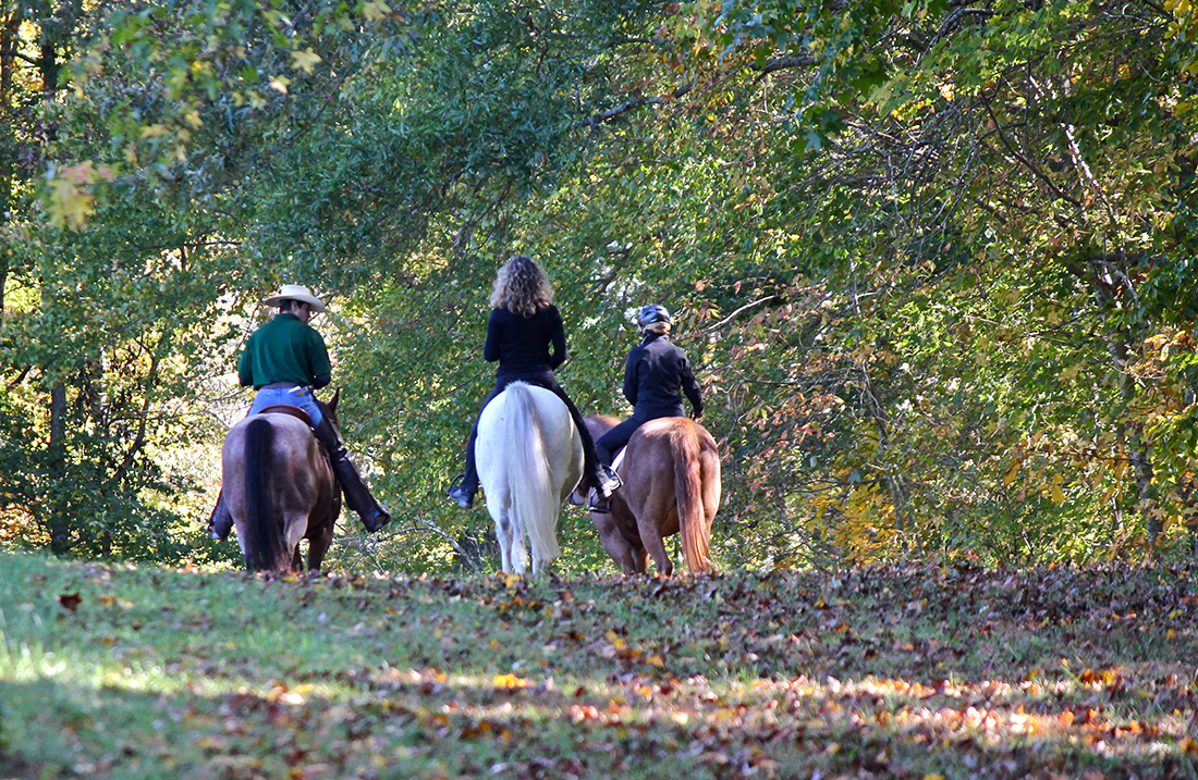 Just Horses Cooler Horsemanship Trail Riding Clinic