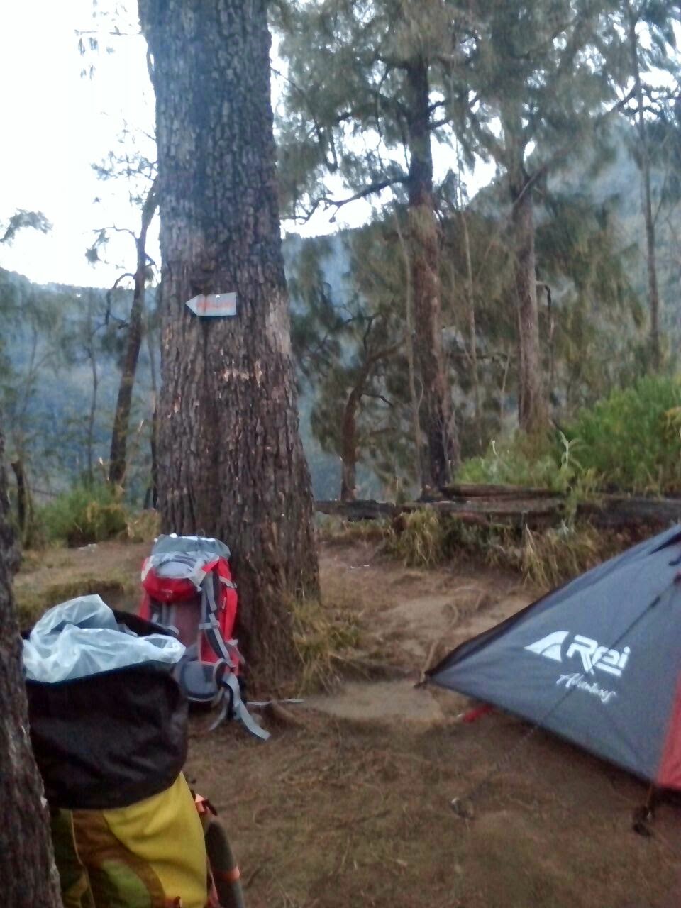 Cemoro Kembar Gunung Lawu