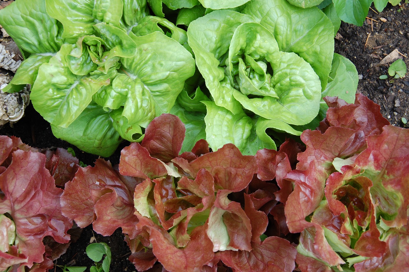 The Russell Homestead