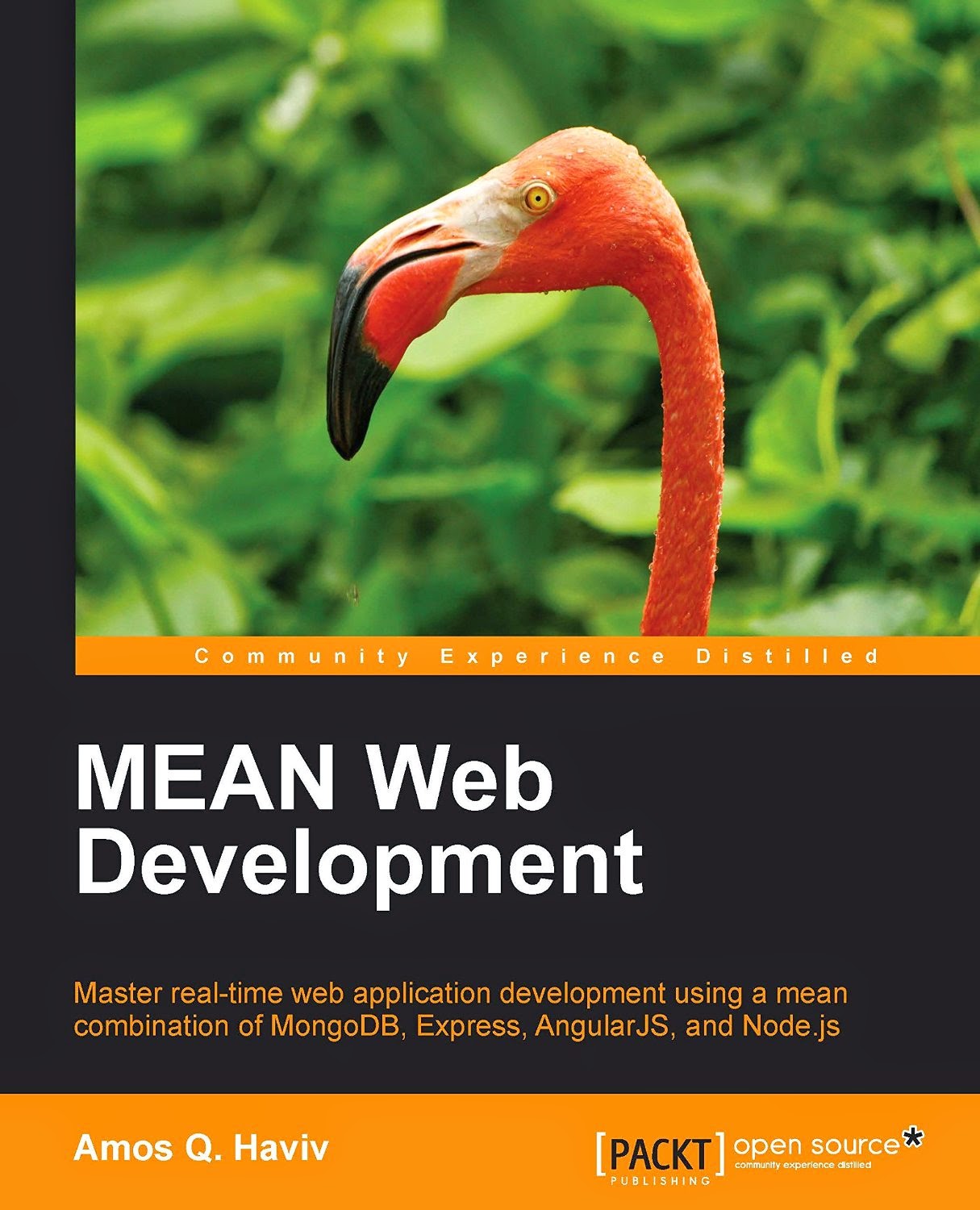 Web Development With Node And Express Pdf