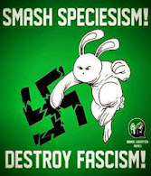 Rabbits against Fascism