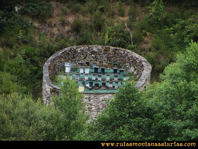 Ruta Bosques de Moal: Recinto con panales de miel