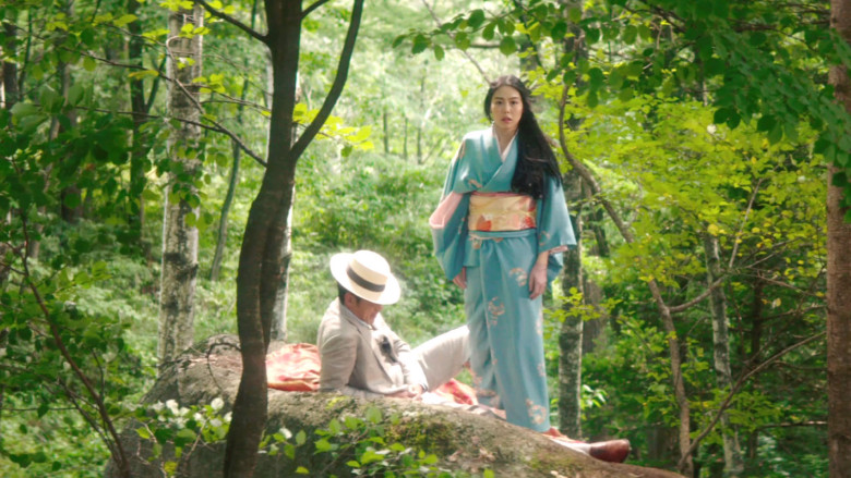 handmaiden_clip_caught.jpg