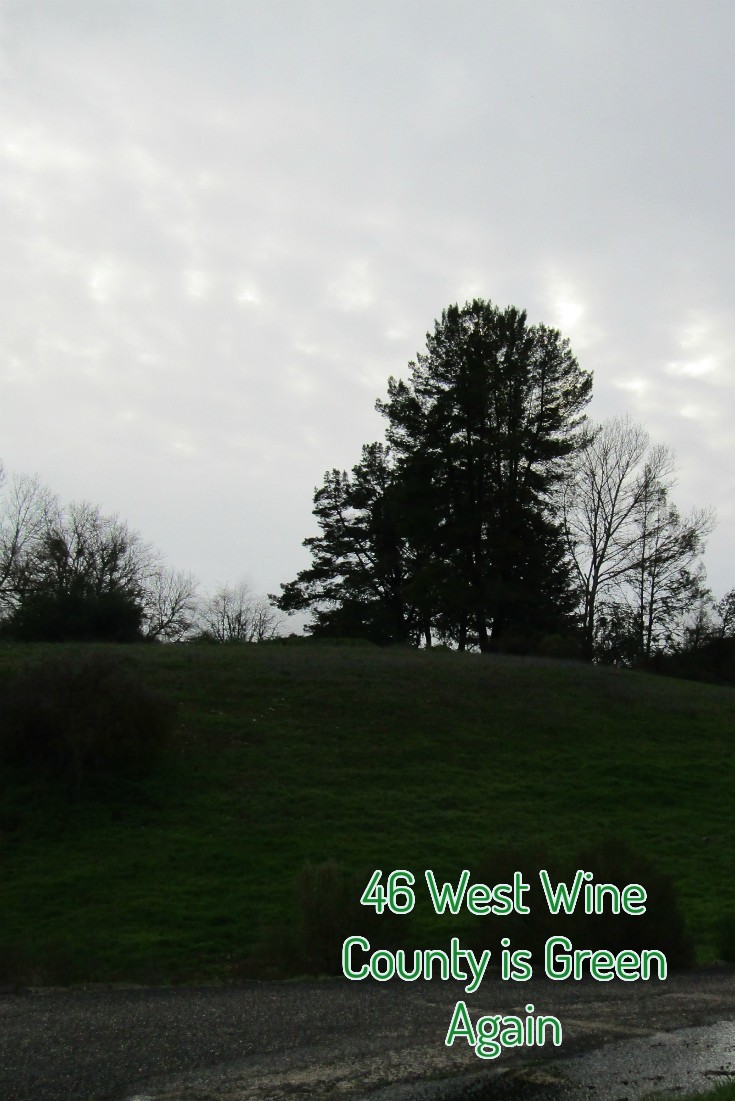 46 West Wine County is Green Again