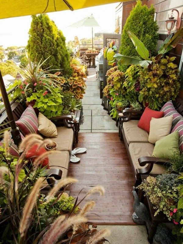 Terrace garden – beautiful design ideas!