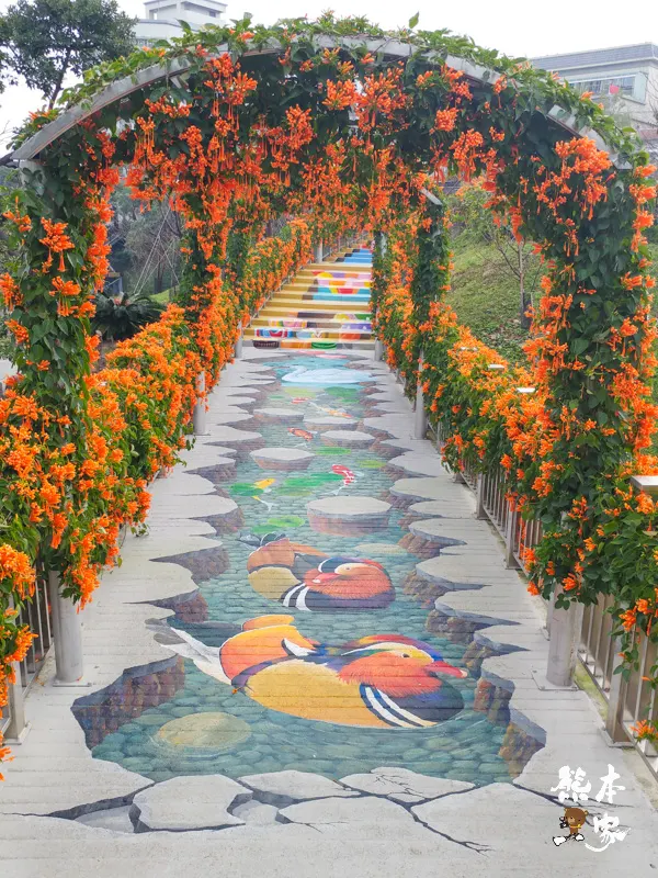 鶯歌永吉公園IG網美景點|炮仗花、櫻花齊登場還有3D立體彩繪步道