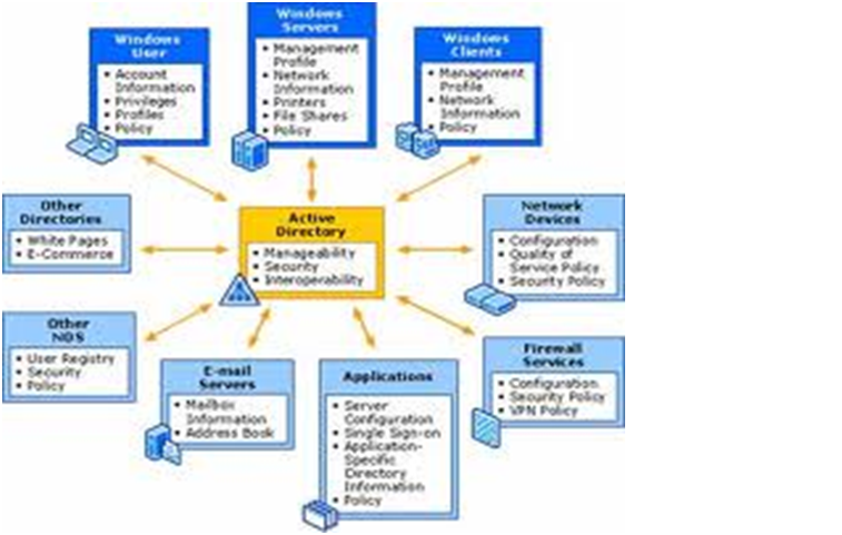 Computer Networks: Network Operating System